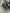 Motore Volkswagen 2.0 DFE 2018