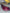 Stop posteriore sx mercedes CLA amg 2022