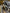 Motore completo volvo V60 D4204T16 2.0 diesel