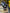 Motore completo Audi a3 1.9 8v BLS