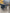 Collettore di aspirazione  bmw 1.6 benzina n13b16a turbo