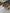 Motore DAIHATSU TERIOS 1.3 benzina k3 (catena)