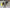 Fiat Freemont 2.0 170 ch 2012 939B5000 turbine