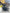 Camblaggio motore  bmw 1.6 benzina n13b16a turbo