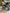 Motore completo Iveco daily 3.0 F1CE3481L