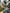 Motore completo ford Kuga 1.5 2022 ZTDA