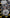 Motore completo Fiat lancia Y 1.4 843a1000 anno 2008