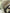Fiat Freemont 2.0 170 ch 2012 939B5000 turbine