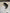 Support de plage arrière pour Opel Corsa F 98382194ZD - 39966