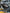Motore Fiat ducato 2.0 250a1000