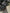 Motore Renault Traffic R9M D4