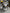 Motore completo Renault kadjar Traffic  2.0 euro 6 M9R
