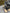 Motore completo ford 2.0 mondeo 2020 Ylcc