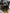 Motore Renault Kajiar Clio 1.5 diesel K9K U8 bosch