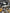 Motore Completo Ford EcoSport sigla motore M1JU