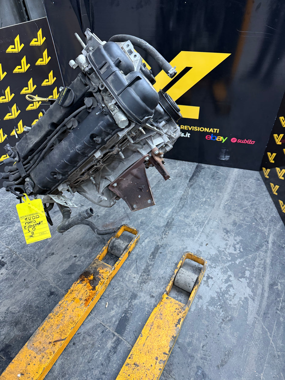 Motore Completo Ford fiesta 1.6 benzina sigla MUDD