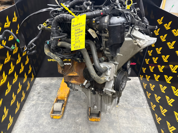 Motore Completo Ford EcoSport sigla motore M1JU - VL Ricambii Motors