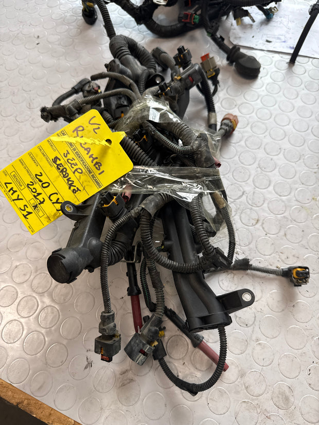 Câblage moteur Jeep Cheroke 2.0 2017 LMY 51