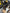 Motore Fiat Freemont 2.0 939b5000