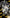 Motore completo 1.5 diesel lxd opel astra (10mjbf) 2019