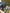 Dacia Duster Sandero K4ma6 1.6 petrol 16v 4x2 engine 