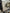 Motore Volkswagen 2.0 DFE 2018
