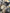 CAMBIO MANUALE 6 MARCE FIAT DUCATO CITROEN JUMPER PEUGEOT BOXER ANNO 2023