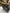 Motore completo Renault kadjar Traffic  2.0 euro 6 M9R