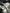 Motore completo Audi golf 1.6 CRK