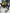 Cablaggio motore opel Mokka 1.6 benzina f16d4 manuale
