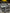 Motore completo ford Fiesta 1.4 RTJC