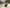 ALTERNATORE FORD FOCUS III AV6N-10300-HA 1.6 125KM/LO 38573-