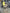 CAMBIO AUTOMATICO Nissan Qashqai (J11) SUV 1.6 dCi (r9m 2016 3WX1B