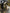 Motore completo volvo V60 D4204T16 2.0 diesel