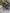 Motore completo chevrolet spark 1.0 benzina b10d1