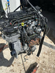 Motore completo ford peuehot  2.0 Delphy T7MA