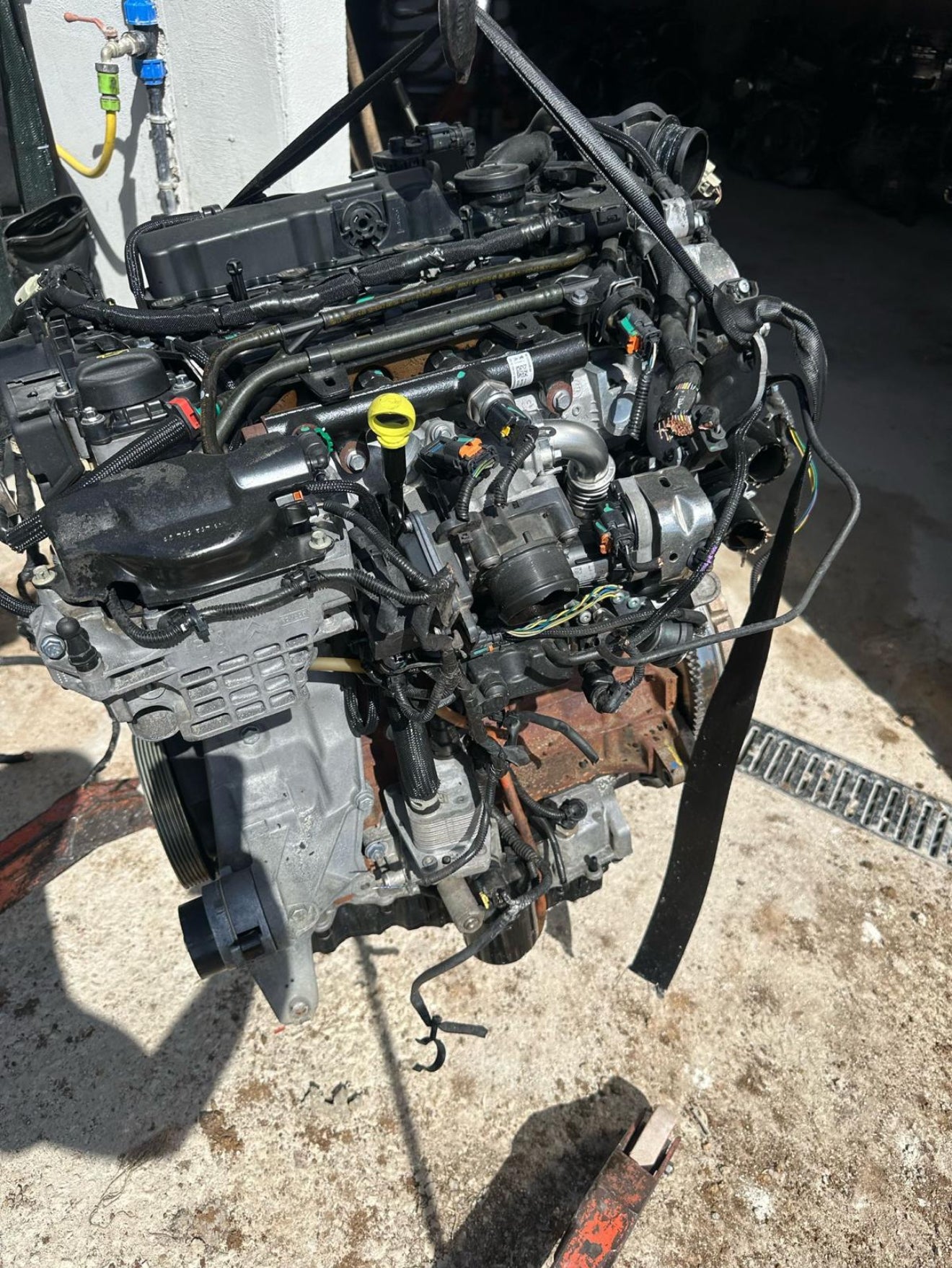 Motore completo ford peuehot  2.0 Delphy T7MA