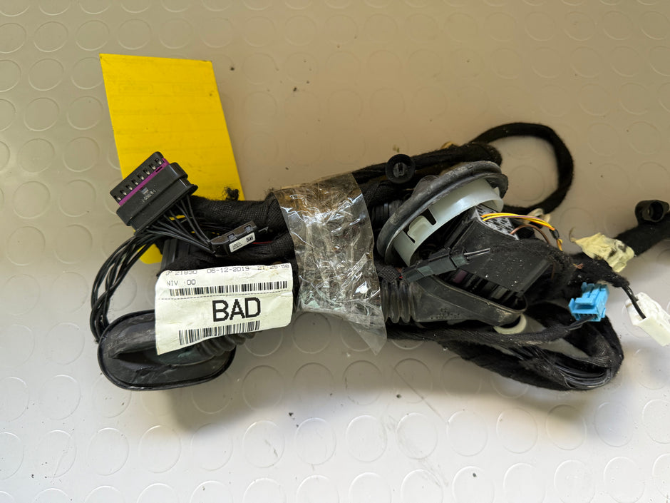 Rear Left Door Wiring Harness for 2022 Range Rover Evoque