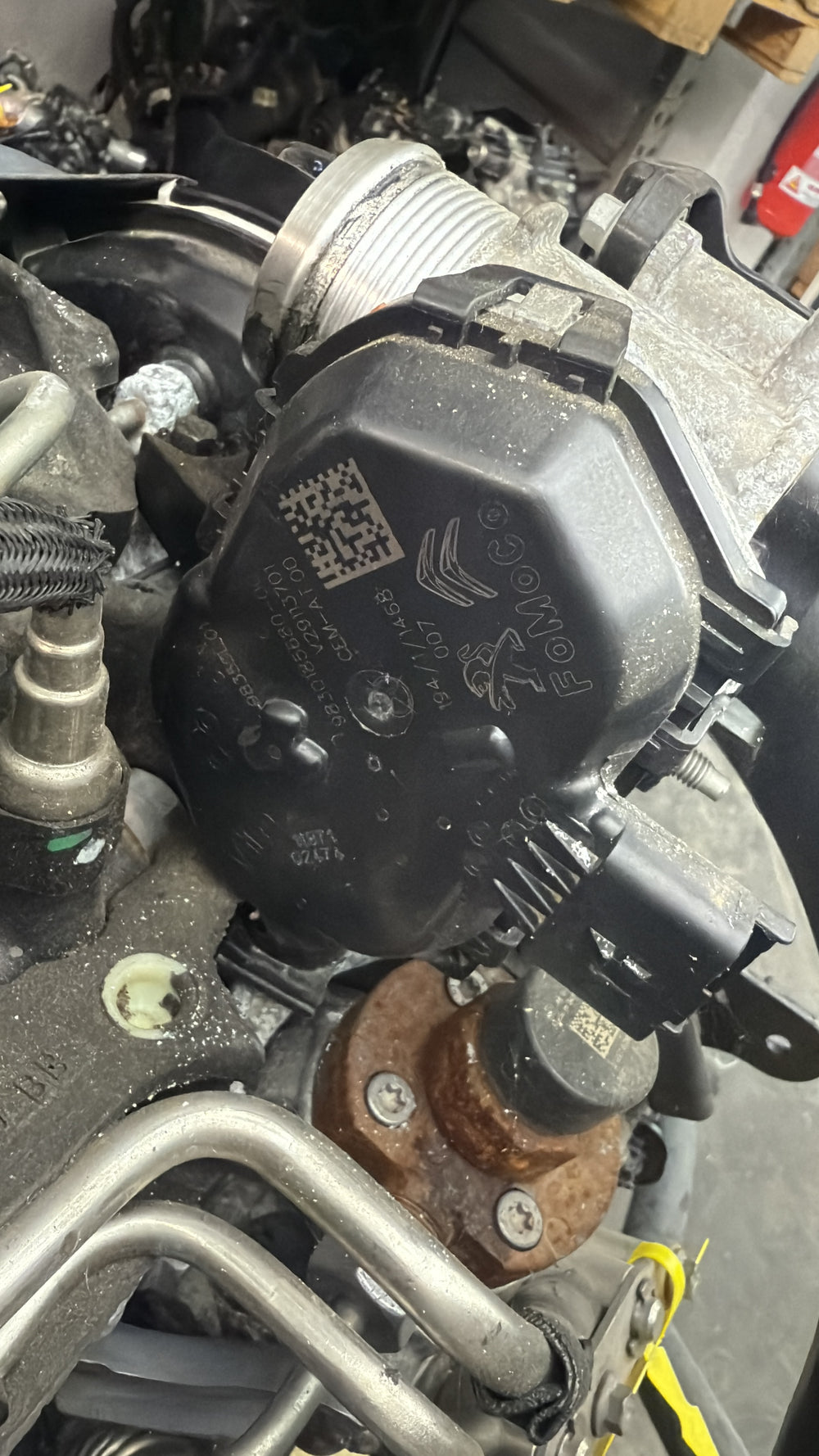 Valvola farfalla Ford Focus sigla ztda 9830185680