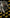 Motore completo hyundai Kia 1.7 D4FD