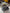 Alternateur Renault Captur II Nissan Qashqai 1.3 E-Tech 2310A1749R 2740571A 2021