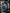 Motore Nissan b440 4.0 diesel