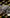Motore Iveco daily 1990 1996  daily 2.8 814021 turbo
