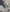 Berceau moteur Citroën C3 AirCross Benz 2019(17) 1598685